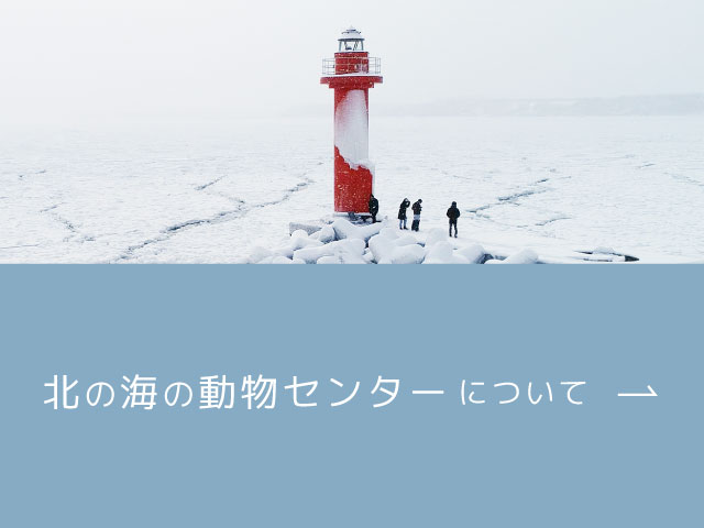 北の海の動物センターについて