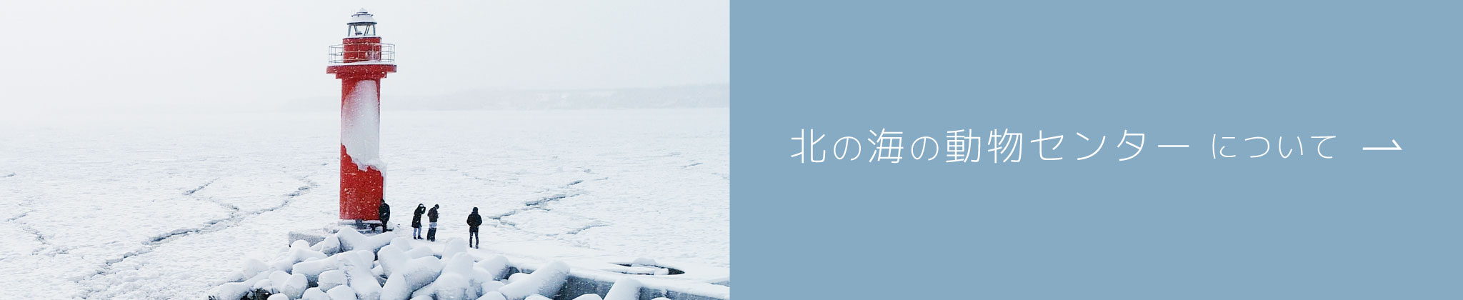 北の海の動物センターについて