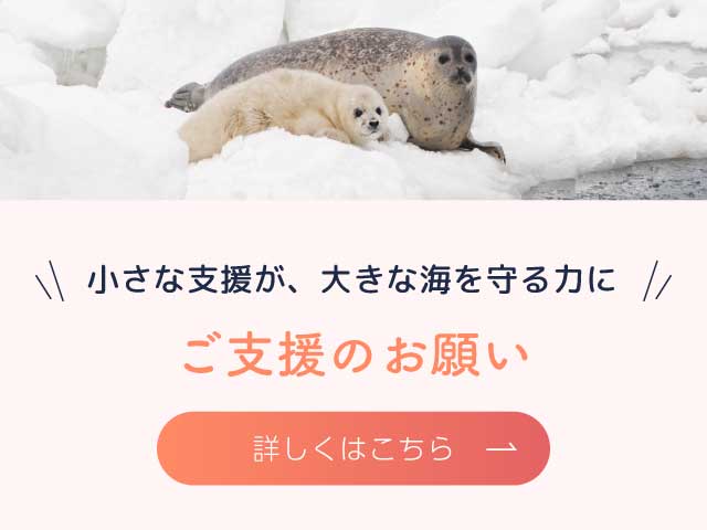 ご支援のお願い