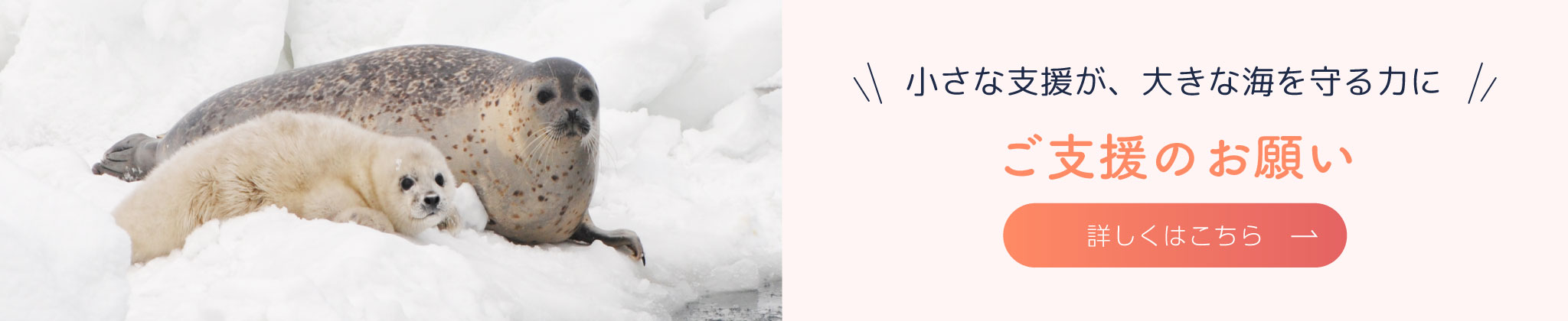 ご支援のお願い